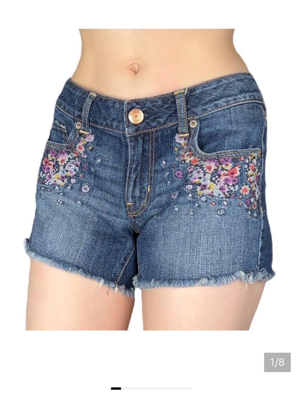 American Eagle Outfitters Dark Blue Denim Floral Embroidered Shorts